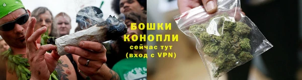 стаф Вязники