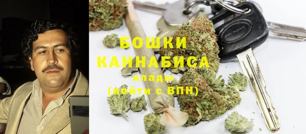 стаф Вязники