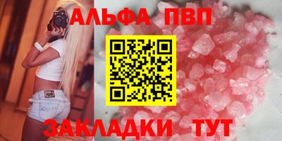 индика Камышлов