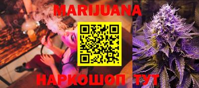 индика Камышлов