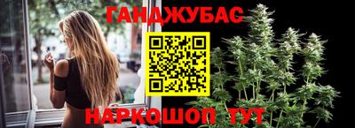 индика Камышлов