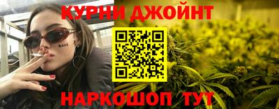 индика Камышлов