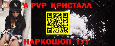 индика Камышлов