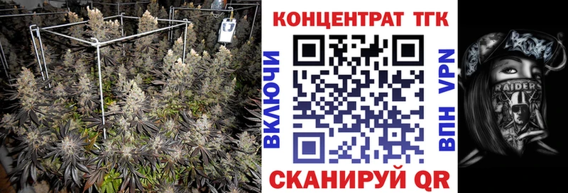 ТГК гашишное масло  купить наркотики сайты  Мценск 